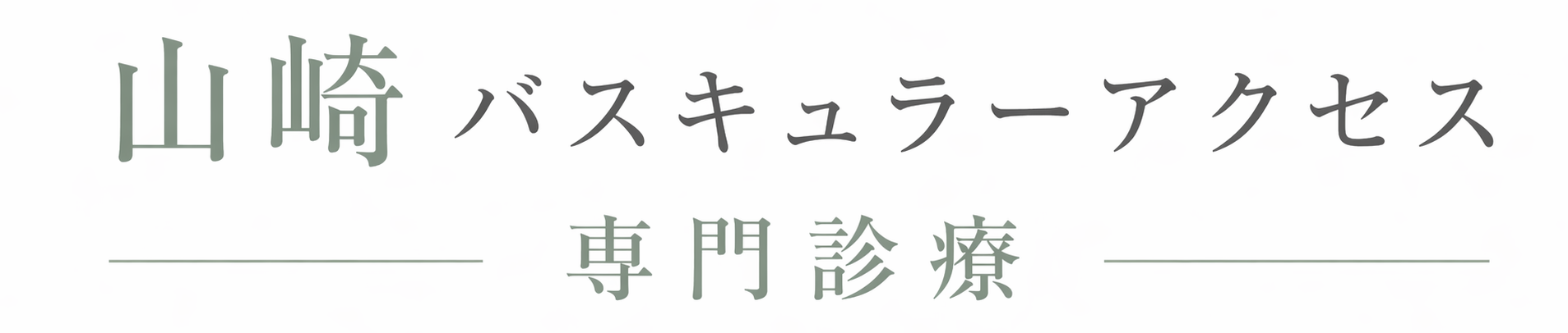 東京・練馬のバスキュラーアクセス専門診療｜シャントPTA・手術対応